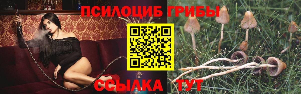 Псилоцибиновые грибы Cubensis  купить наркотики цена  Назарово  Псилоцибиновые грибы мицелий  Вход с VPN 